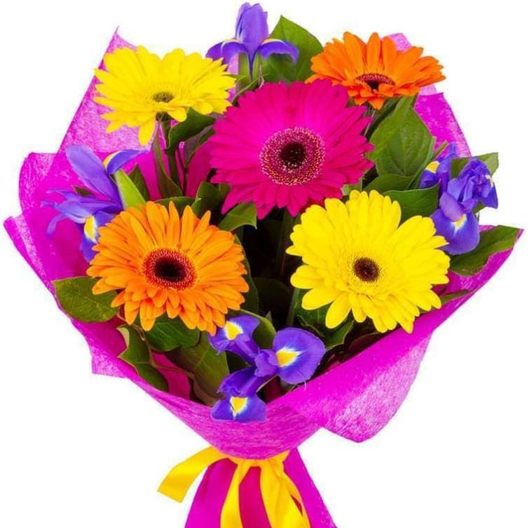 Моя нежность от 5 400 руб.